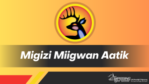 Migizi Miigwan Aatik @ Pow wow ground